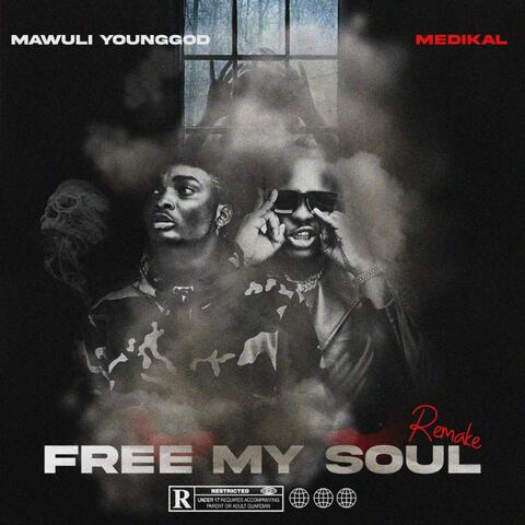 FREE MY SOUL (feat. Medikal) [Remix]