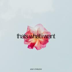 THATS WHAT I WANT (Acoustic)