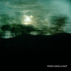 Perdu Dans La Nuit