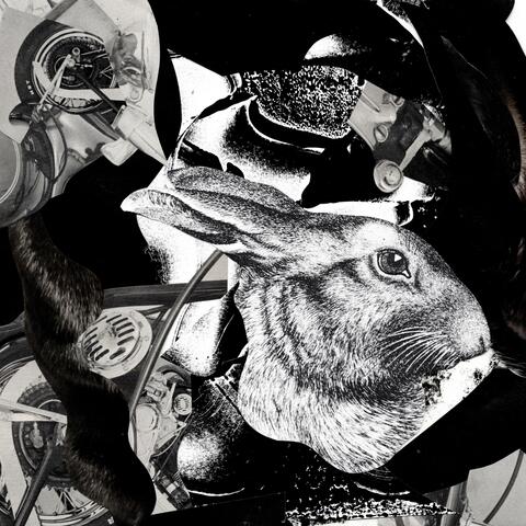 Rabbit Hole EP