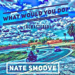 What Would You Do? (feat. Good Mama & Rufus Troutman)