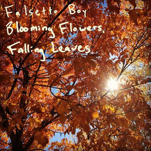 Blooming Flowers, Falling Leaves