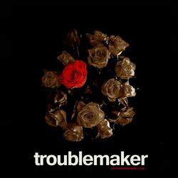 Troublemaker