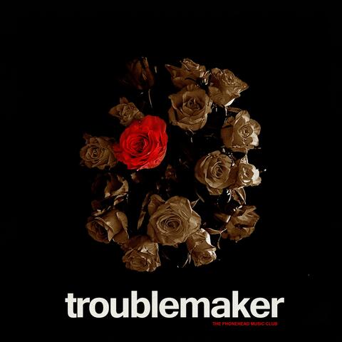 Troublemaker