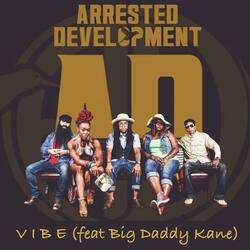 Vibe (feat. Big Daddy Kane, Cleveland P. Jones, Speech & Tasha LaRae)