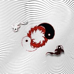 Yin