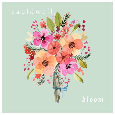 bloom (single)