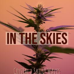 In The Skies (feat. Skilly Waves)