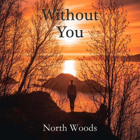 Without You