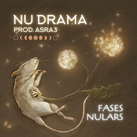 Fases Nulars