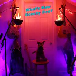 What's New Scooby-Doo?