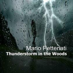 Thunderstorm in the Woods