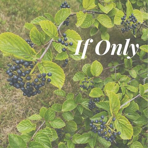 If Only