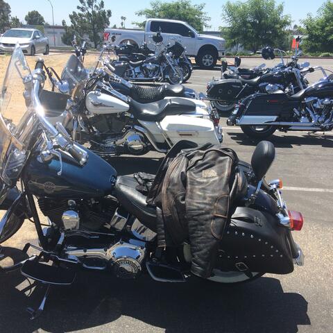 47 Harley's