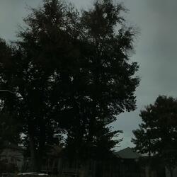 i wonder if you still think of me because you're kinda all i think about (feat. Seejayxo)