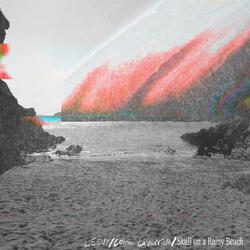 Skull on a Rainy Beach (feat. Colyne Laverriere)
