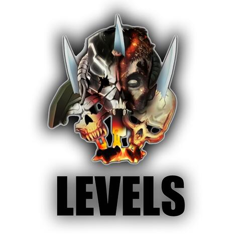 Levels
