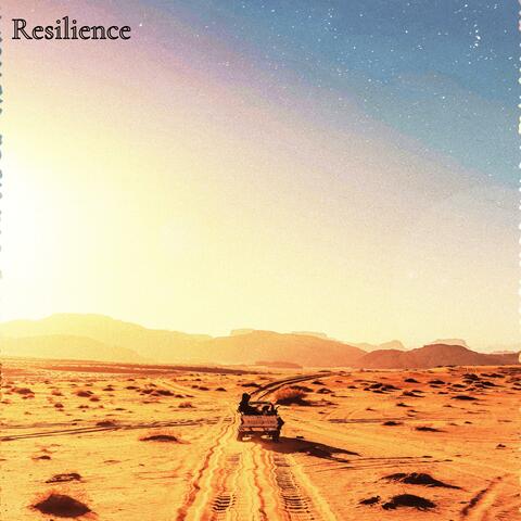 Resilience