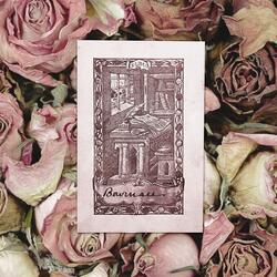 Collapse (feat. Alex Shelnutt)