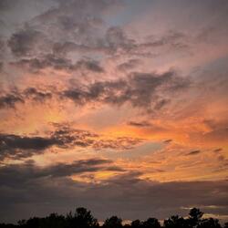 Cellardoor (feat. keneki)