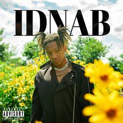 IDNAB (I Don't Need A Bitch)