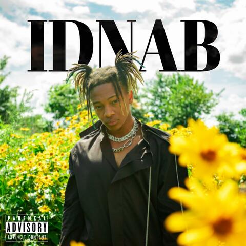 IDNAB (I Don't Need A Bitch)
