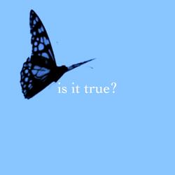 is it true?