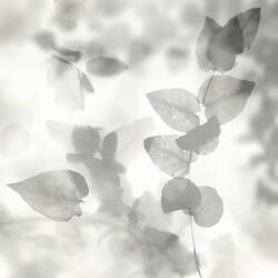 Long For Your Beauty (feat. Corrie Wells)