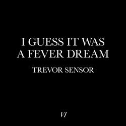 I Guess It Was a Fever Dream