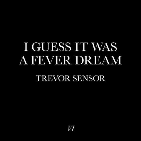 I Guess It Was a Fever Dream