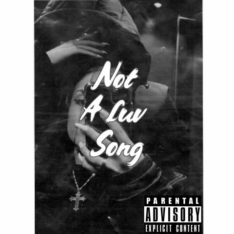Not A Luv Song (feat. luvrboa)