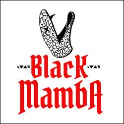 Sigo Amandote (feat. MEXIKAN66)
