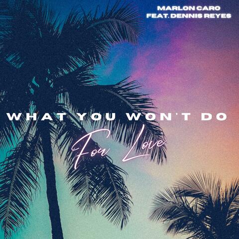 What You Won't Do For Love (feat. Dennis Reyes)