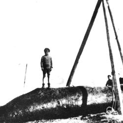 Truant Boy