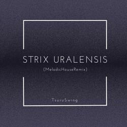 Strix Uralensis (feat. Miwa)