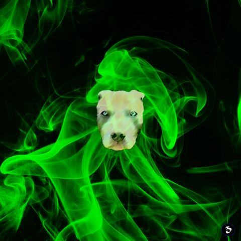 Chemdog