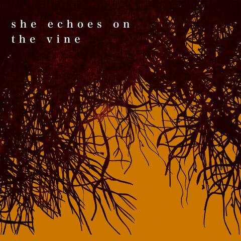 Make of a Woman (from She Echoes on the Vine Soundtrack)