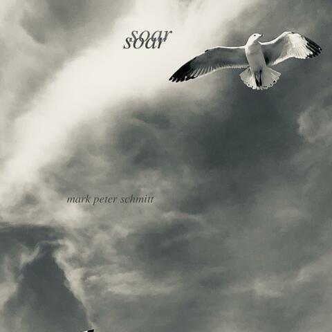 Soar