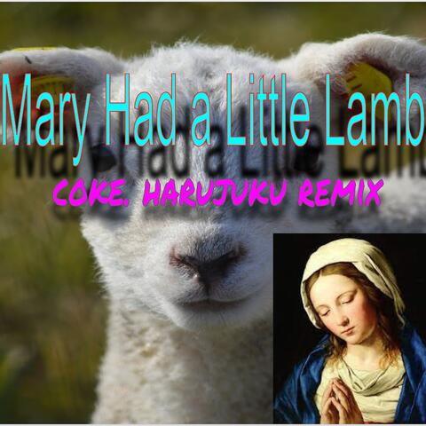 Mary Had A Little Lamb (harujuku remix)