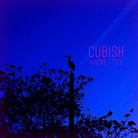Vignettes