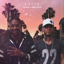 THE BOSS CALLE 2020 (feat. ABDEL KHALIK)