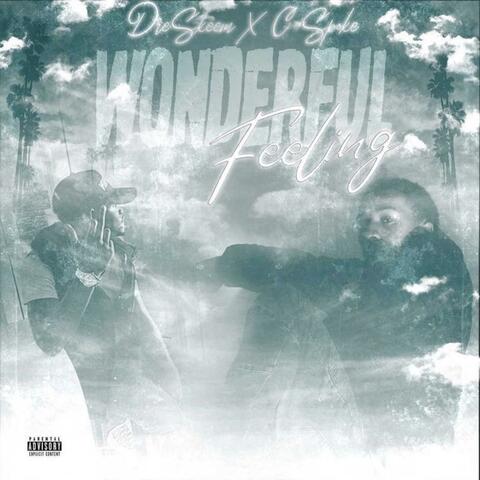 Wonderful Feeling (feat. DreSkeem)