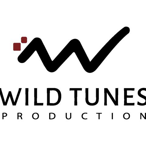 Must Last Theme (Original Wild Tunes Soundtrack)