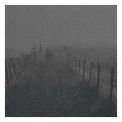 Improvisation for Radio and Luminist Garden