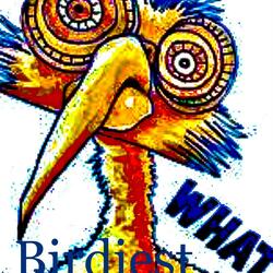 -Birdiest-
