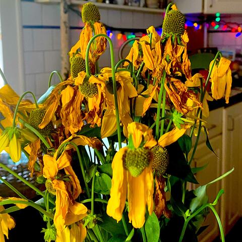 Moon And Back (feat. Giuseppe Fusca) [Remastered]