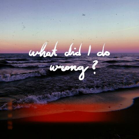 What Did I Do Wrong?