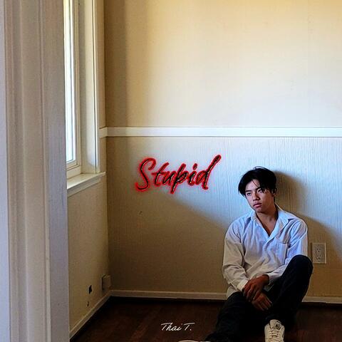 Stupid