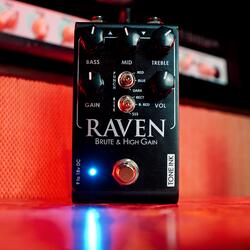 Raven High Gain