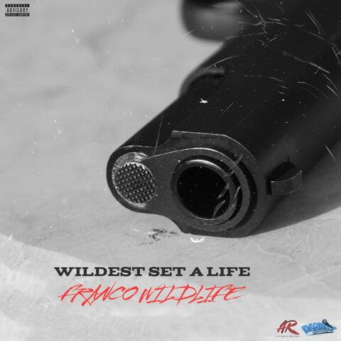 Wildest Set A Life